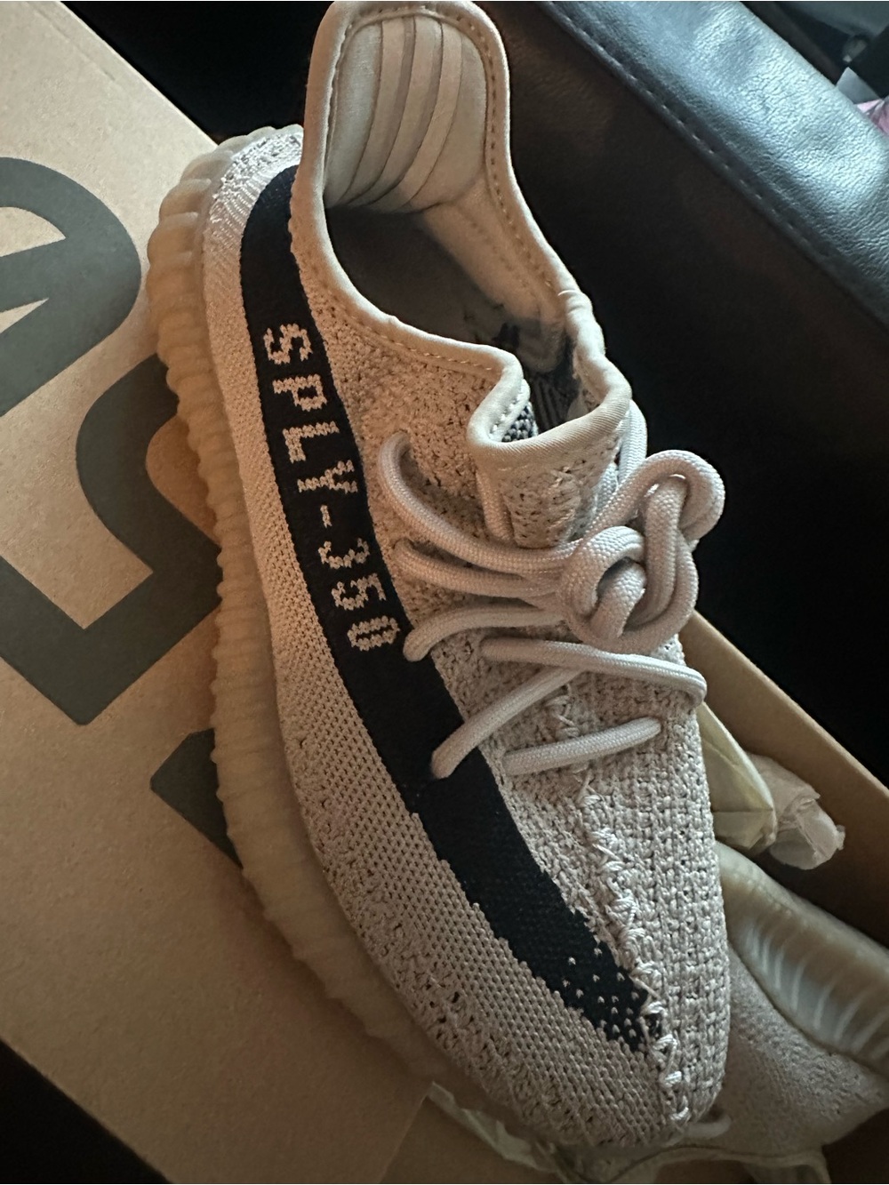 Yeezy 350 v2